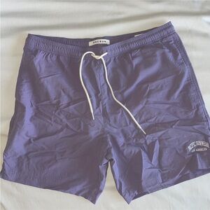 PacSun Purple Swim Shorts 5”
